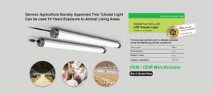 dlg approved led tubular light