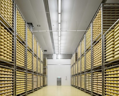 led linear high bay for cold storage