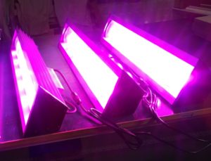 full spectrum led grow light