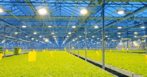 agricultural lighting