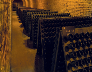 WINE AND CHAMPAGNE CELLARS