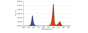 20% dark blue LED (450 nm), 60% super red LED (660 nm) and 20% far red LED photon flux ratio (730 nm)