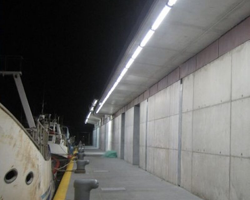 tubu tech ip67 ip69k tubular light marine application anti-crossive light tubu tech ip67 ip69k tubular light marine application anti-crossive light