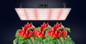 lightmyleaf 240w quantum board led grow light