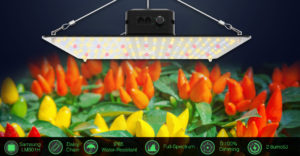 lightmyleaf Grow light quantumn board