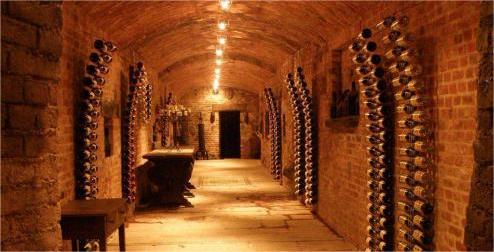 Wine Cellar LED Lighting