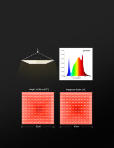 240W Quantum version grow light planting tent test-1