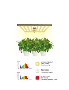 Full Spectrum LED Grow Lights-1