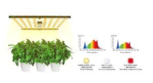 Full Spectrum LED Grow Lights