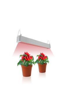 Greenhouse Grow Light added deep Red and IR-1