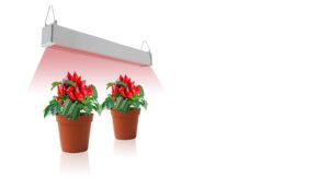 Greenhouse Grow Light added deep Red and IR