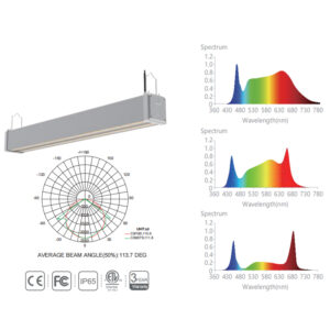 Greenhouse Grow Light adds deep red and infrared wavelengths