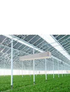 IP65 waterproof rating Greenhouse Grow Light-1