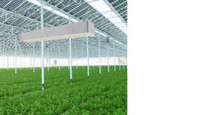 IP65 waterproof rating Greenhouse Grow Light