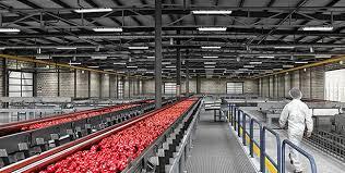 LED Linear High Bay Light processing plant lighting LED Linear High Bay Light processing plant lighting