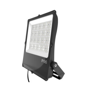 Positioning Adjustable ECO Series LED Flood Light