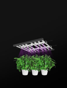 UVIR Grow Light Bar Using UVIR light to optimize plant growth-1