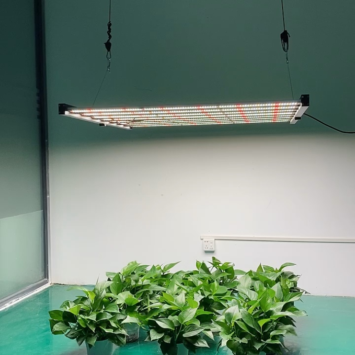 bar style grow light of lightmyleaf