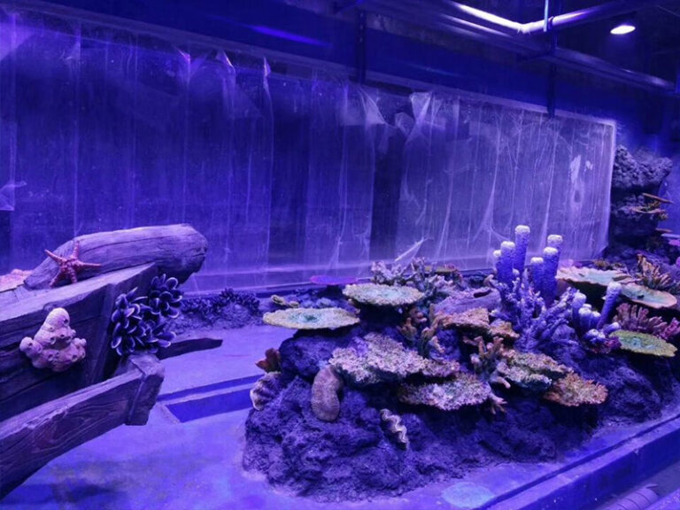 marine plant lighting