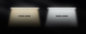 Understand the Specifications
