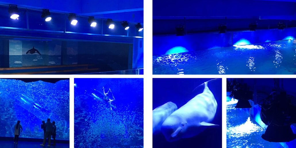 View of LED Aquarium Light | TUBU