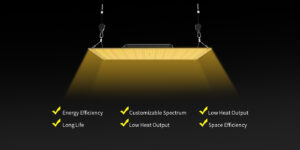 Benefits Of LED Grow Lights