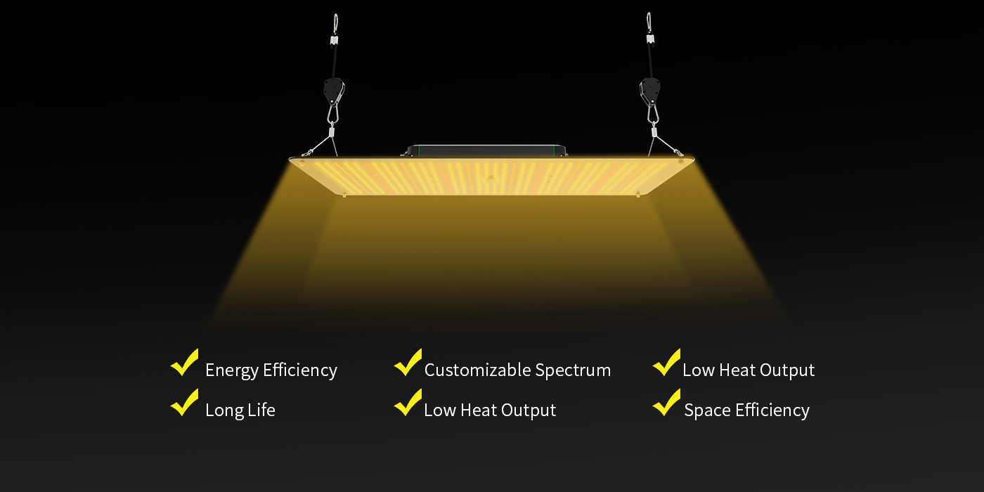 Benefits Of LED Grow Lights