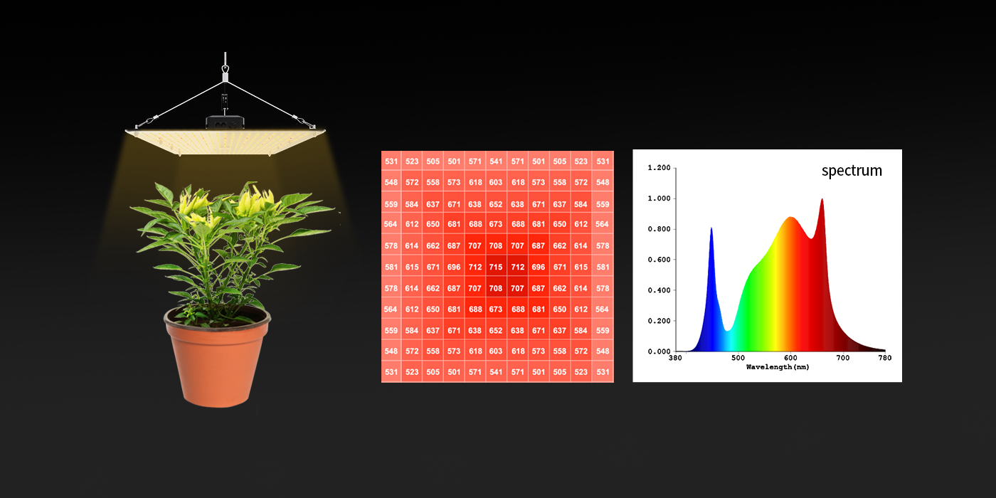 Factors To Consider When Choosing LED Plant Lights