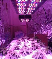 Full Spectrum Greenhouse Lighting