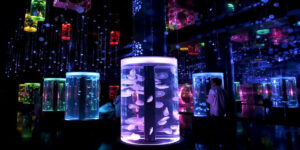 Know Your Aquarium's Needs