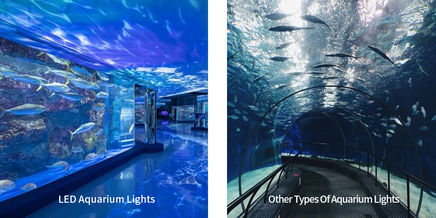 LED Aquarium Lights VS Other Types Of Aquarium Lights