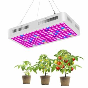 LED Grow Light Manufacturer
