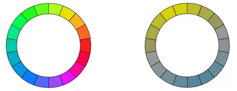 The left is the human eye, the right is the bull's eye