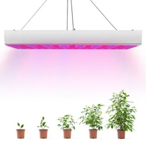 1000 Watt LED Grow Light