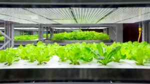 400 Watt LED Grow Light