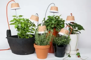 600w LED Grow Light
