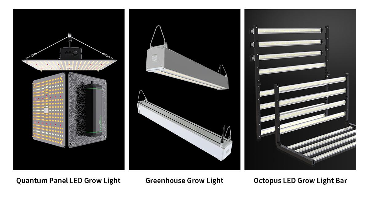 Best Grow Lights