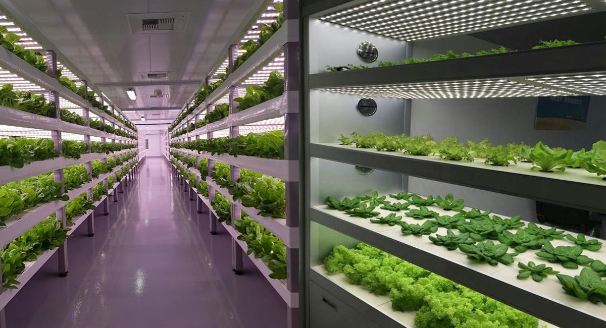 LED Grow Light LED Grow Light
