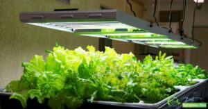 Plant Grow Lights