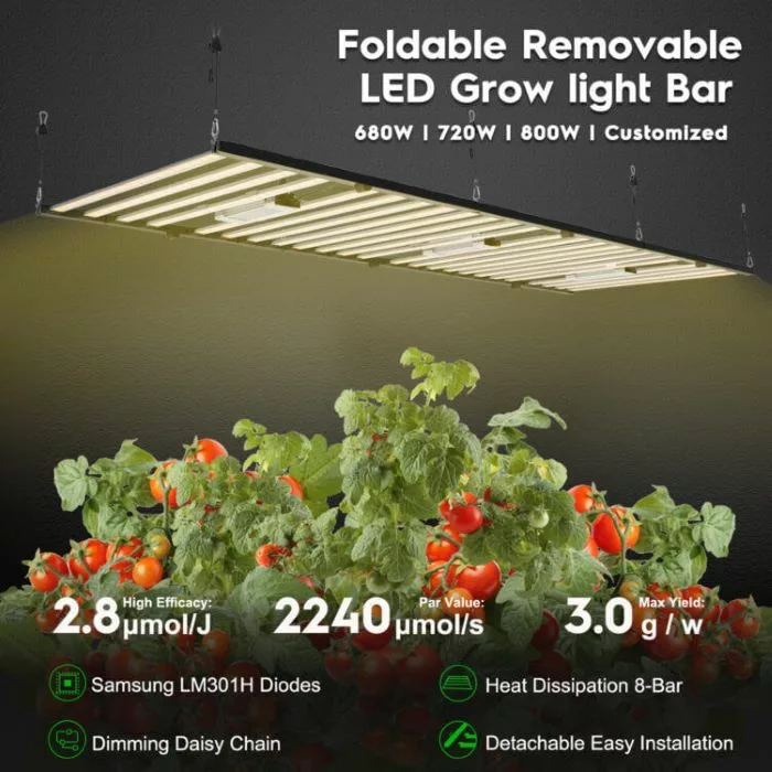 LED Plant Growth Light