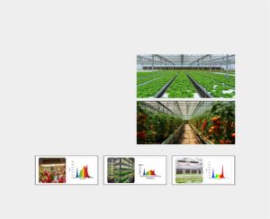 Address Inadequate Lighting Effect of LED Grow Lights