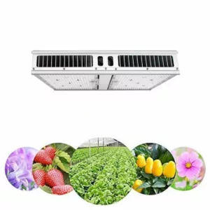 LED Grow Light Planting