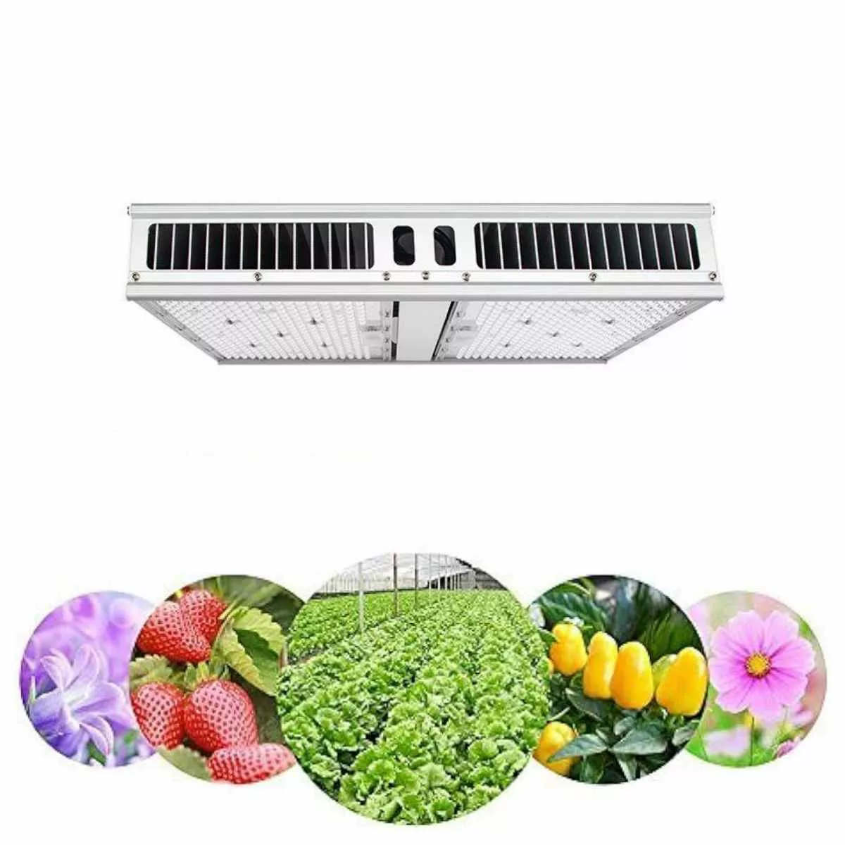 Best LED Grow Lights for Hydroponics Lighting Fixture