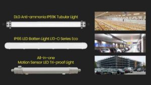 EU Warehouse Tri-Proof Light