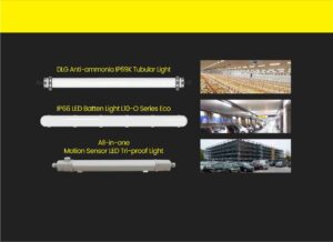 EU Warehouse Tri-Proof Light Home