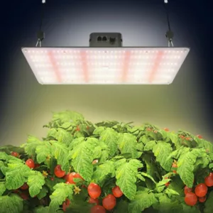 Full Spectrum Grow Lights