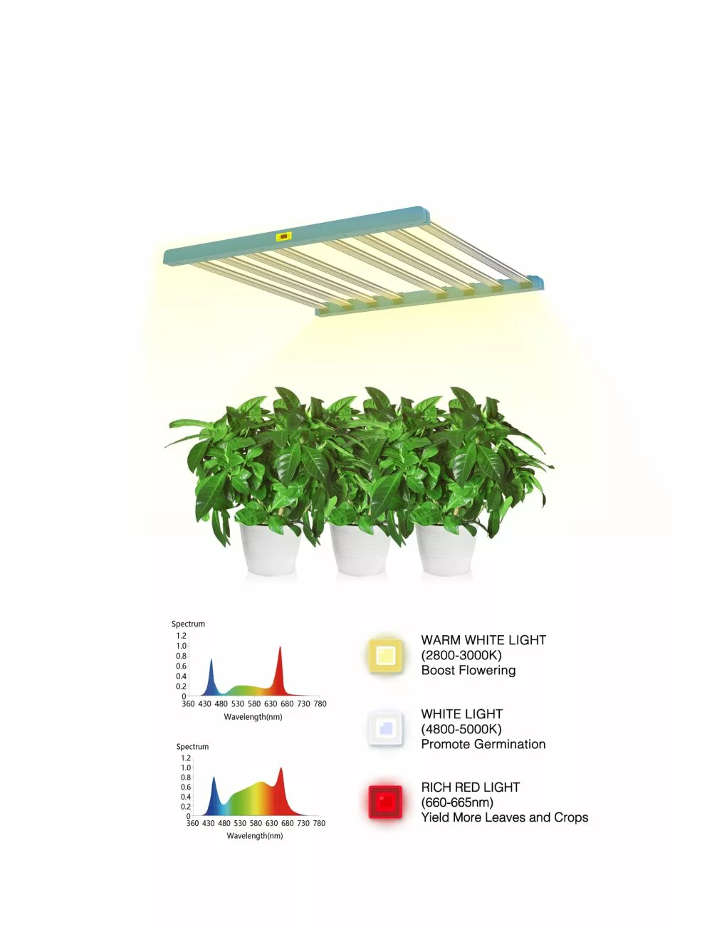 Full Spectrum LED Grow Lights