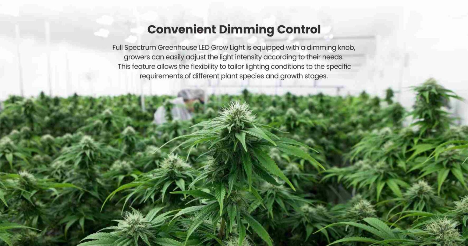 Understanding Full Spectrum LED Grow Lights in Plant Growth