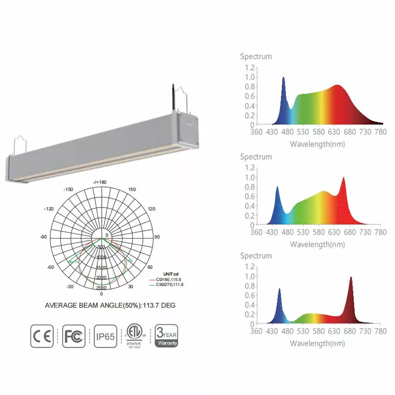 Full spectrum LED grow light Full spectrum LED grow light