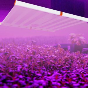 Full spectrum LED grow light strip